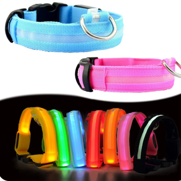 COLLAR LUZ LED PERROS RECARGABLE - Imagen 3