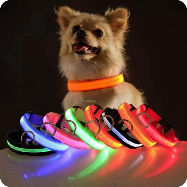 COLLAR LUZ LED PERROS RECARGABLE